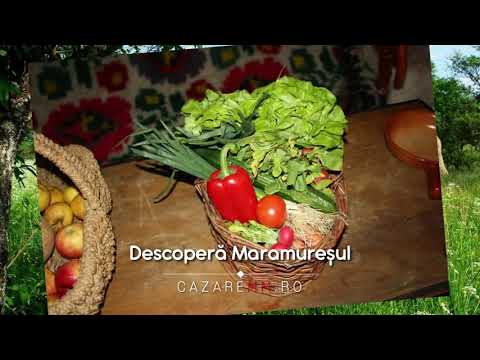 FAURESTI Maramures, Viziteaza Fauresti, Cazare, Pensiuni   CazareMM ro