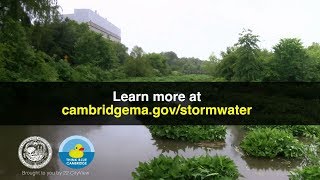 Stormwater Runoff PSA