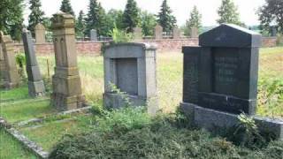 preview picture of video 'Worms-Heppenheim an der Wiese: Mazewot (Grabsteine) of the Jewish Cemetery'