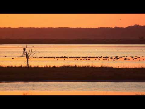 Stumbleine - Dusk