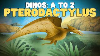 Dinos A to Z: Pterodactylus | Learn about this iconic pterodactyl