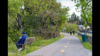 Living in South Almaden Valley, CA: The Ultimate Local Guide | Homes.com