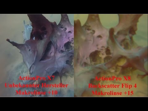 ActionPro X8 vs. ActionPro X7 Runde 9: Unterwasser mit Makrolinse | Test & Review