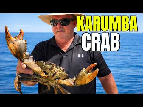 Too Windy to Fish… So We Walked the Pots In | Karumba