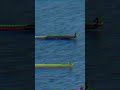 Coldest Moment in Olympic rowing! Mahe Drysdale vs Damir Martin #rowingmachine #rowing #remo #ruder
