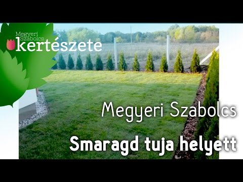 Paraziták tisztítása ellenségekkel