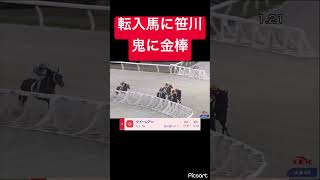 【負けたら引退案件】先行できる転入馬に笹川騎乗とかいう神展開 #競馬