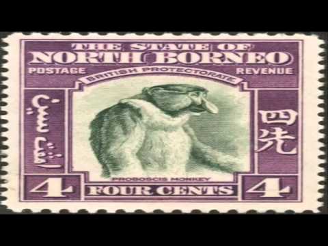 Quantic - The Sound of Everything ( Ft. Alice Russel )