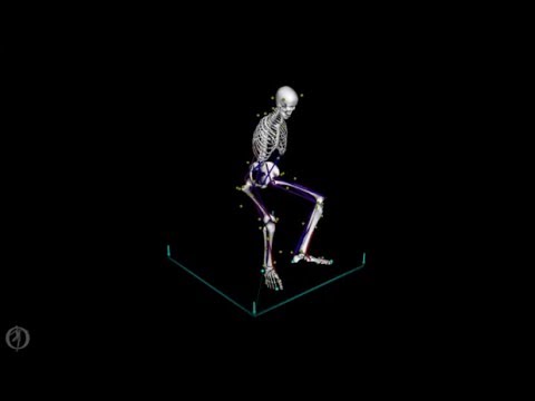 Using Computed Muscle Control to Generate a Forward Dynamics Simulation of the Sit to Stand Task