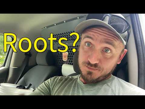 Sewer Line Root Issues: What You Need to Know