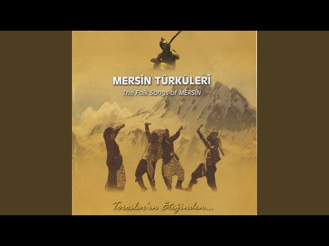 Video Yükleniyor...