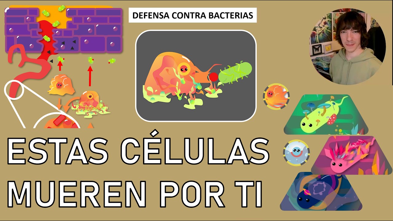Defensa contra bacterias