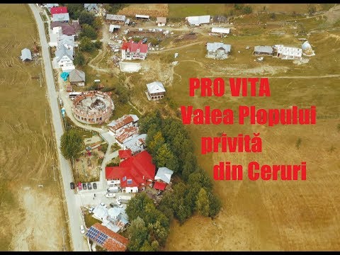 Valea Plopului privita din Ceruri 4K HEVC