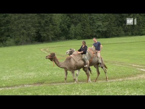 SF Spezial in den Alpen - Folge 4