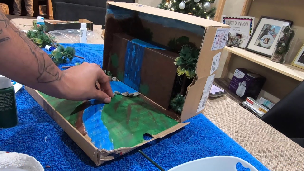 Rainforest Diorama school project [how to]