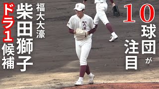 [閒聊] 柴田獅子