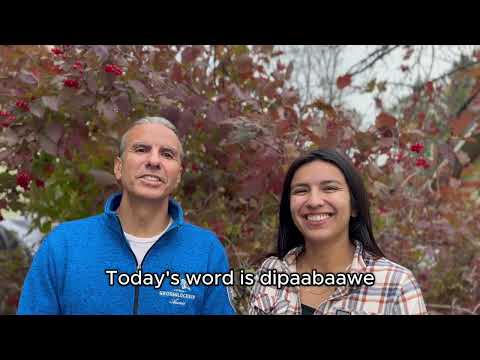 Dipaabaawe = It gets damp (Ojibwe Word of the Day)