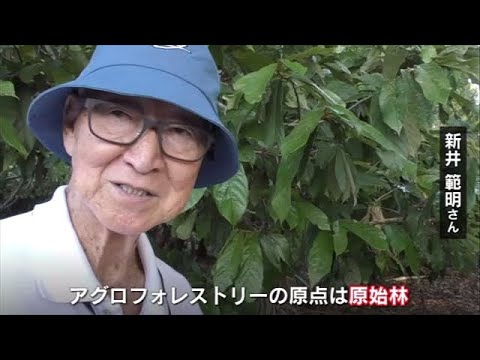 ホンジュラスのアグロフォレストリー