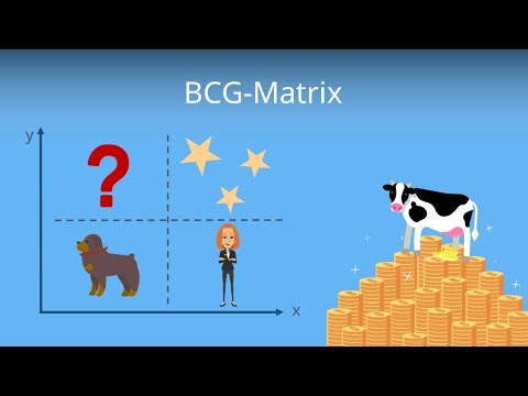 Die BCG Matrix (Portfolioanalyse) - Erklärung und Beispiel