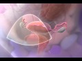 Hysterectomy