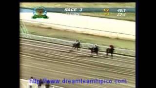 Recuento Programa de Carreras 23 de Diciembre 2010