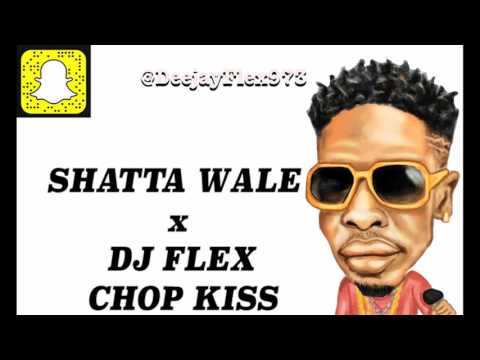 Shatta Wale X DJ Flex - Chop Kiss (AfroBeat Remix)