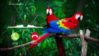 Download lagu Kiliye Kiliye Remix Bgm Ringtone | Download Link 👇🏻 mp3