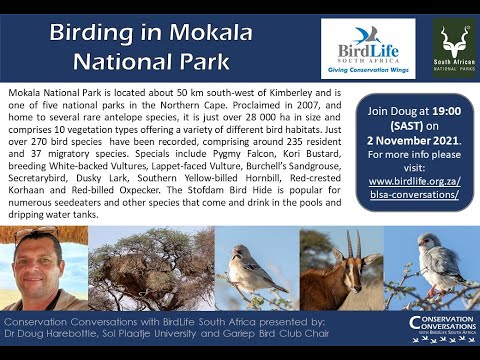 Conservation Conversations: Dr Doug Harebottle – Birding in Mokala National Park