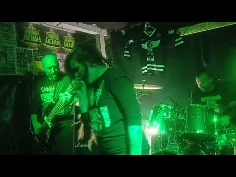 INSISTENT live Barák Slavonice 22.11.2024