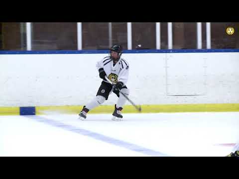 Ispremiär för SDHL-truppen och Jaycee Gebhards första träning med Brynäs