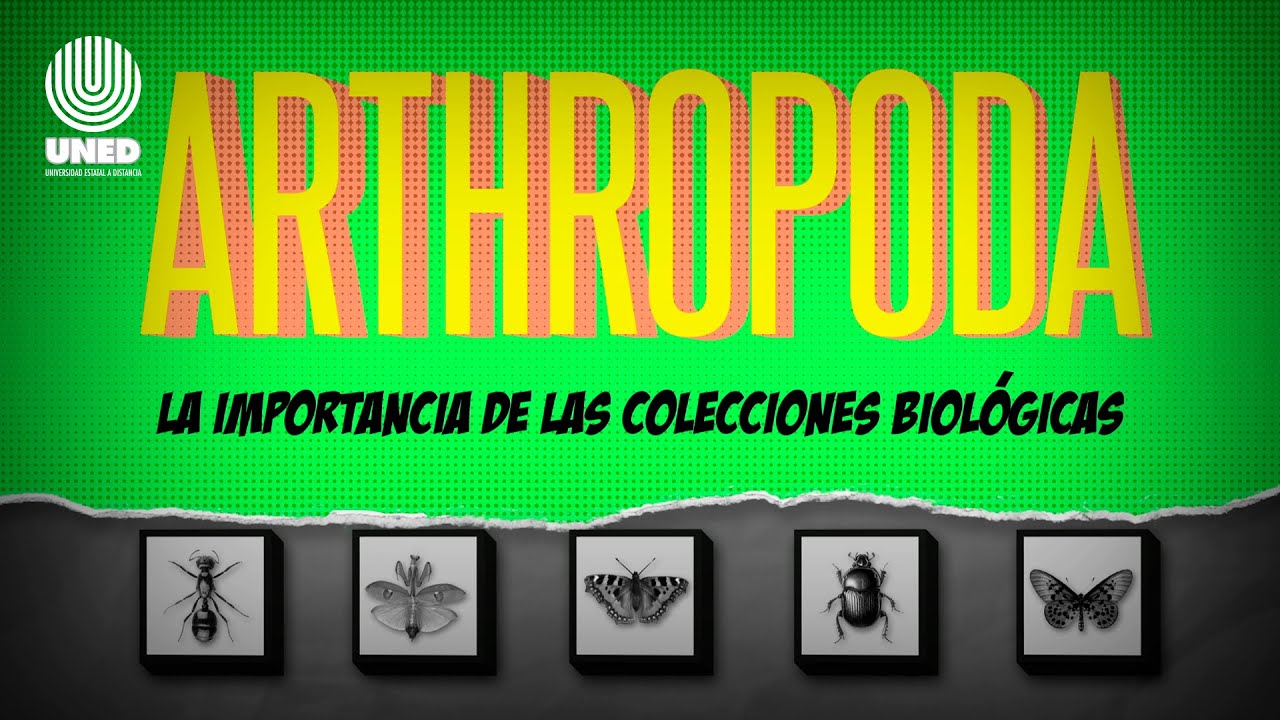ARTHROPODA Capítulo 6, La importancia de la colecciones biológicas, parte 1