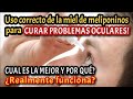 Uso de la miel de tetragonisca angustula para problemas oculares 👁️🐝