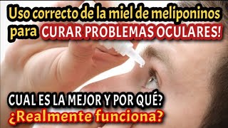 Uso de la miel de tetragonisca angustula para problemas oculares 👁️🐝