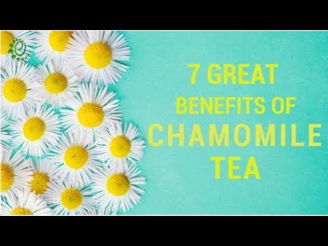 7 amazing health benefits of chamomile tea