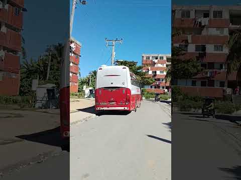 Ciaenfuegos y Sus Barrios  @ocdielygretel