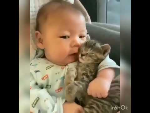 Cute kitten 🐈🐈@lovely cats@Love for nature