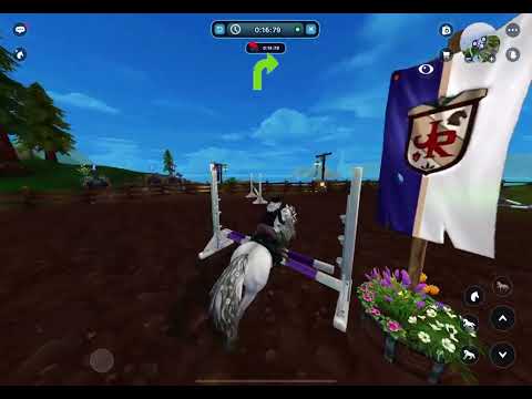 SSO The Jorvik Ranger show jumping ~ 0:30:43