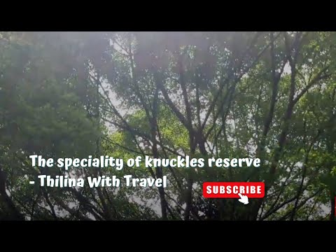 The speciality of knuckles reserve -  Travel With Thilina