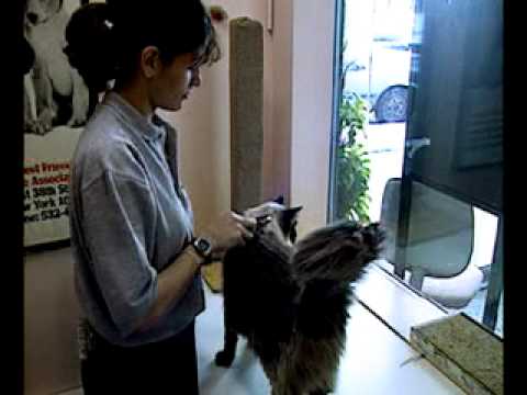 Nanfarm Animal Caretakers CareerSearch.com