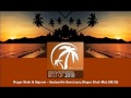 Roger Shah Signum Healesville Sanctuary Roger Shah Mix ARDI2010 01