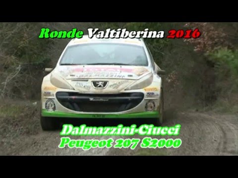 RONDE VALTIBERINA 2016 DALMAZZINI-CIUCCI PEUGEOT 207 S2000