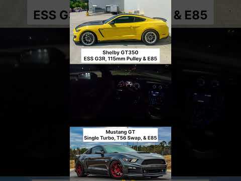 ESS "G3R" Supercharged Shelby GT350 🆚 Big Turbo Mustang GT