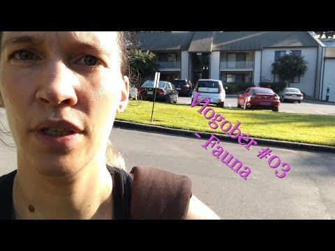 Vlogtober 03.10.2019 - Spaziergang gehen