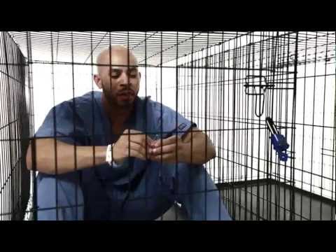 ⓩ-MHz Legacy ( Copywrite & Tage Future)  Mechanical Me  feat Jason Rose (DIR R.M.L)-ZTv