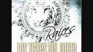 por amor-los tigres del norte