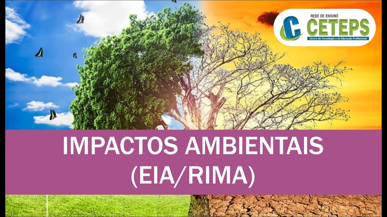 Técnico em Meio Ambiente - Estudo de Impacto Ambiental EIA