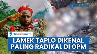 Sosok Komandan OPM yang Tewas Ditembak TNI di Kiwirok Papua Pegunungan, Gencar Lakukan Aksi Teror