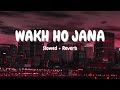 Wakh Ho Jana - Gurnam Bhullar (Slowed + Reverb)