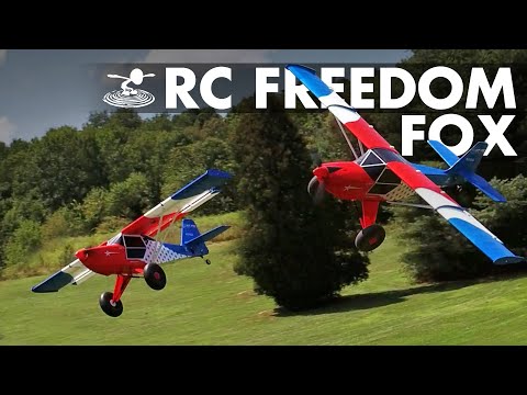 RC Freedom Fox 🦊 STOL Drag Race! 🏁
