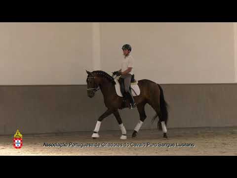 3 Diogo Santos com Nadir